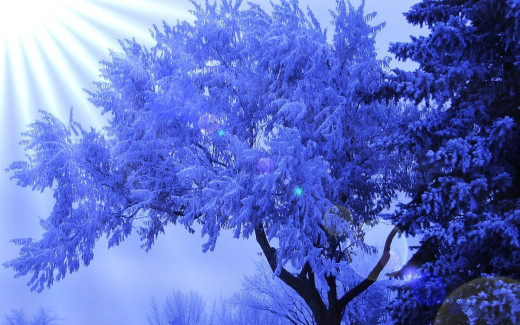 1068682 (a): :2880x1800